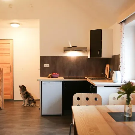 Apartment Fydorka *